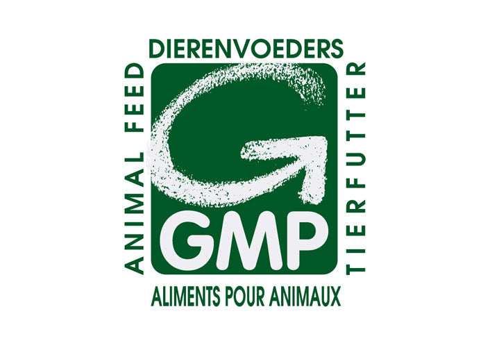 GMP